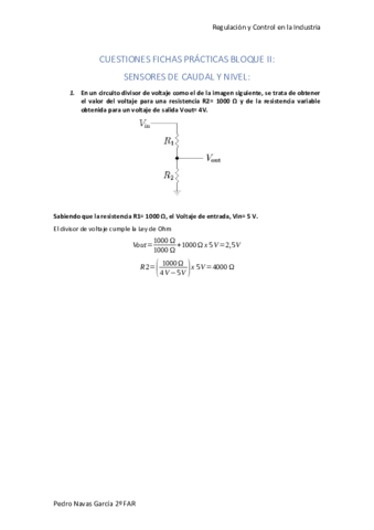 Cuestiones-RCI-II.pdf
