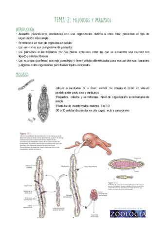 T2.pdf