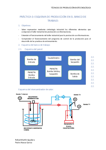 P0.pdf