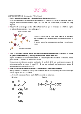 CUESTIONES.pdf