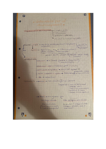 Intervencio-per-al-desenvolupament.pdf