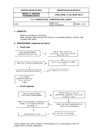 Tincio-simple-i-negativa.pdf