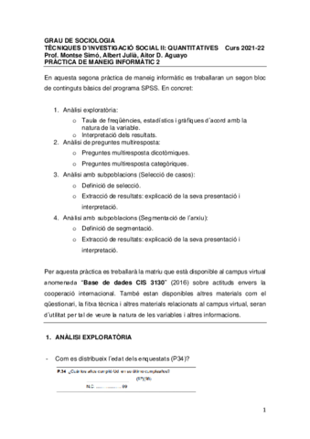 practica-tis-II.pdf