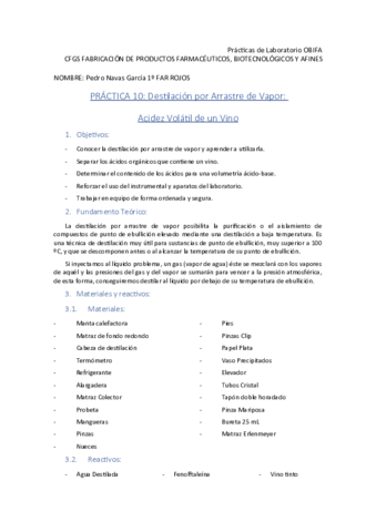 P10.pdf