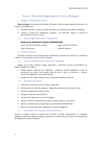 RESUMEN.pdf