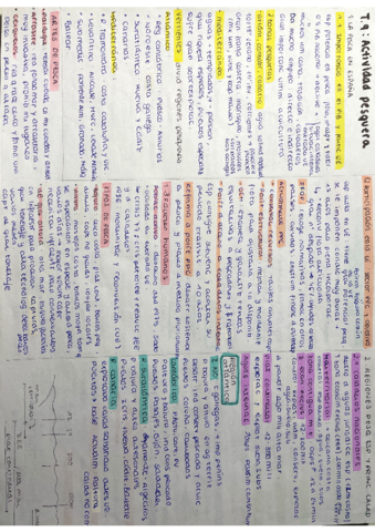 T9-Actividad-Pesquera.pdf