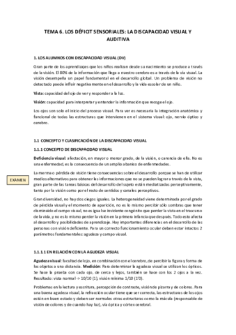 TEMA-6.pdf