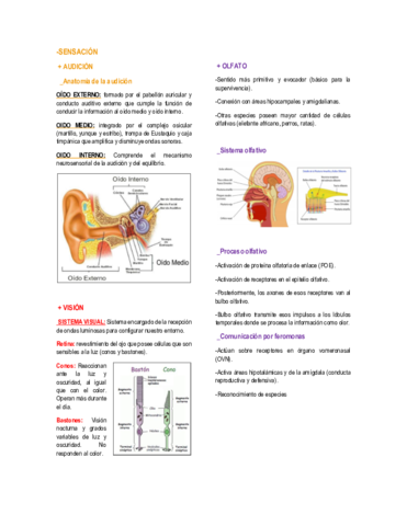 SENSACION-Y-PERCEPCION.pdf