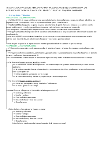 TEMA-4-HABILIDADES-2.pdf