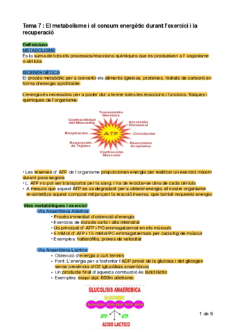 Apunts-Fisio-3r-Parcial.pdf