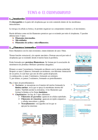 T4-CITOESQUELETO.pdf