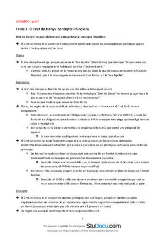 Apuntes COMPLETOS Derecho de Daños.pdf