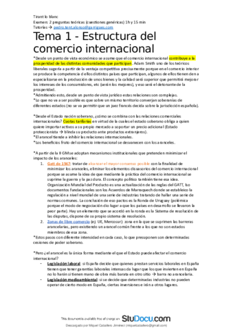Apuntes COMPLETOS Derecho Comercio Internacional.pdf