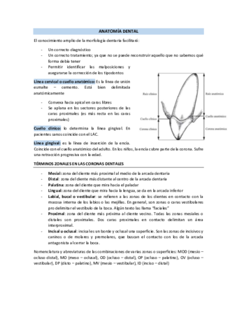 Tema-1-PTD-Anatomia-dental.pdf