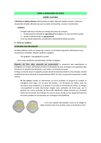 Tema-2-Amalgama-de-plata.pdf