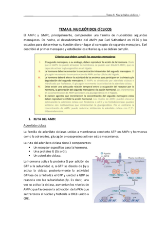 TEMA-8.pdf