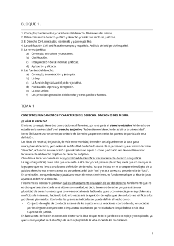 TEMAS-CIVIL.pdf