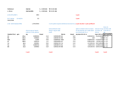 Problema-2-resolt.pdf