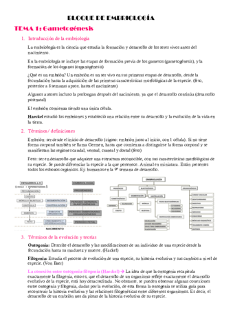 BLOQUE-DE-EMBRIOLOGIA.pdf