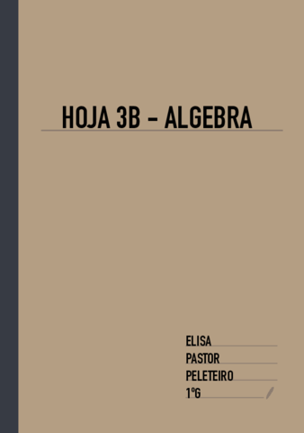 3B-ALG.pdf