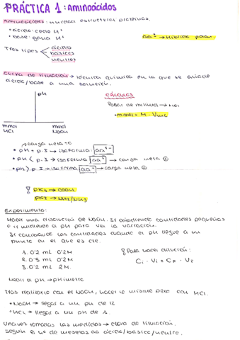 practicas-bioquimica-I.pdf