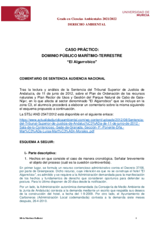 Practica-Sentencia-DPMT-22El-Algarrobico22-MARTINEZ-BALLESTER-SILVIA.pdf