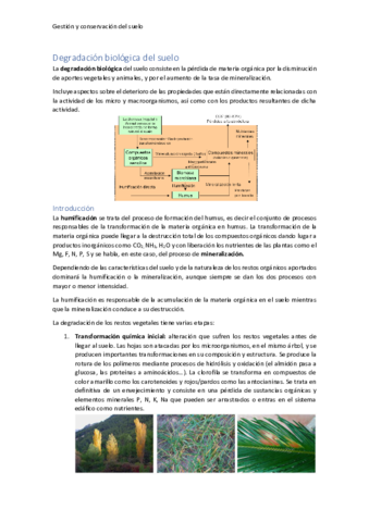 Degradacion-biologica-del-suelo.pdf
