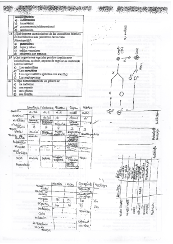 Examen-1.pdf