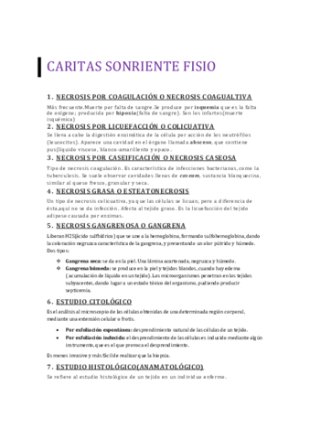 Caritas-sonriente-tema-22-parte.pdf