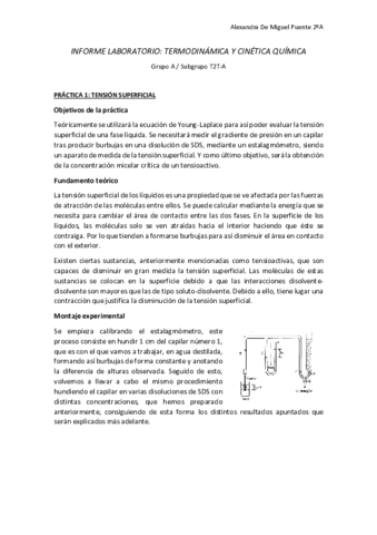 Informe-laboratorio-TCQ.pdf