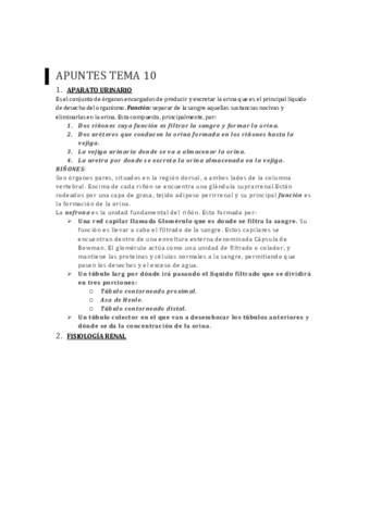 apuntes-tema-10.pdf
