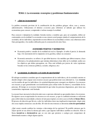 APUNTES-ECONOMIA-COMPLETOS.pdf
