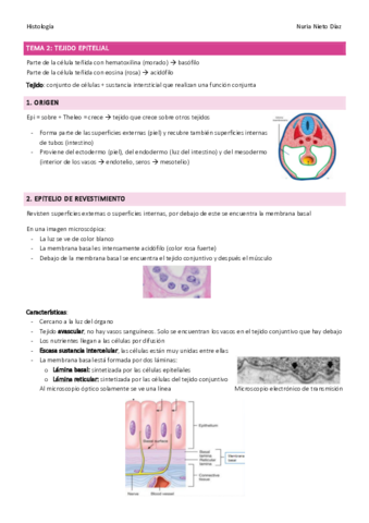 TEMA-2-Tejido-epitelial-.pdf