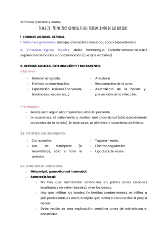 TEMA-26-PQG.pdf