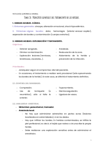 TEMA-26-PQG.pdf