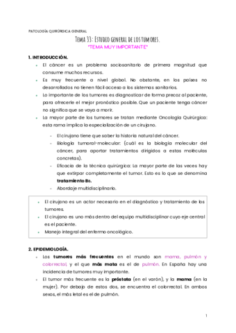 TEMA-33-PQG.pdf