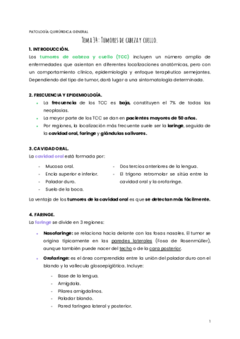 TEMA-34-PQG.pdf