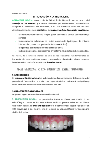 TEMA-1-OPERATORIA.pdf