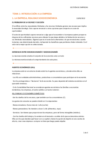 TEMA-1-GESTION-DE-EMPRESAS.pdf