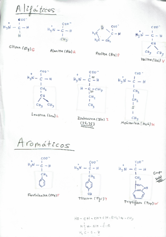Tabla-Aminoacidos.pdf