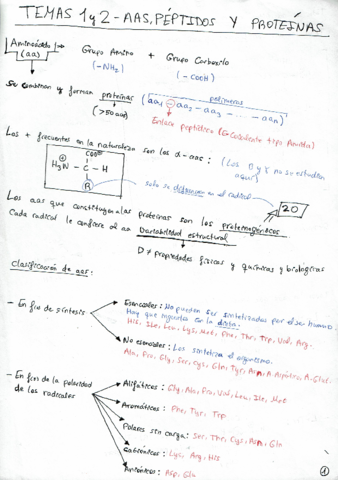 Temas-1y2-Aminoacidos.pdf