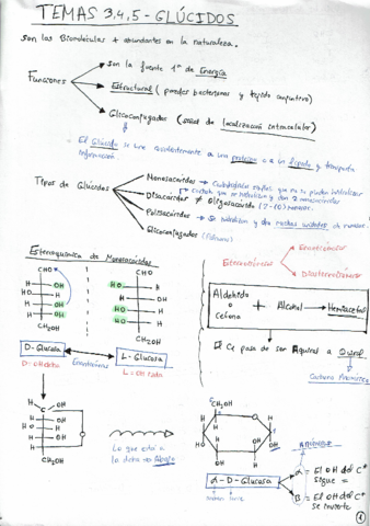 Temas-3-5.pdf