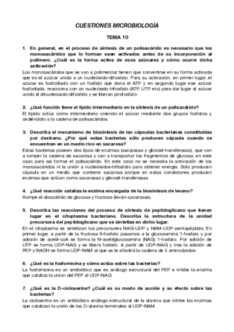 Cuestiones-micro-10-20.pdf
