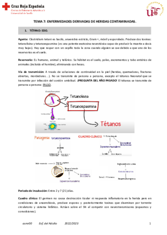 Tema-7-Adulto.pdf
