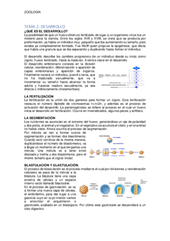 TEMA-2-ZOOLOGIA.pdf