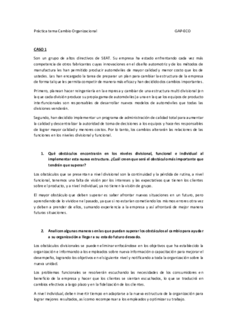 practica-cambio-organizacional.pdf