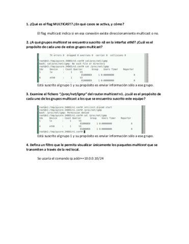 Practica-multicast.pdf