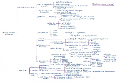 Mapa-conceptual-1.pdf