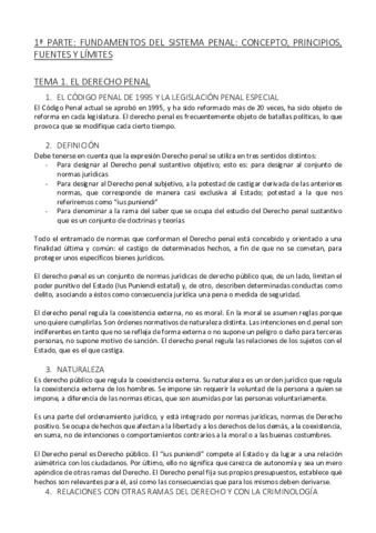 temas-1-y-2-penal.pdf