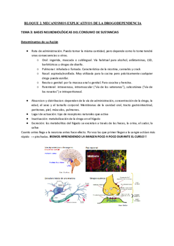 TEMA-3.pdf